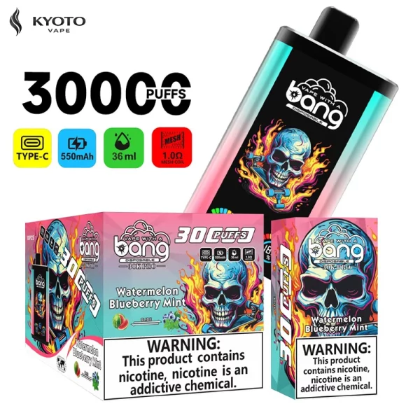 BANG 30000パフ 使い捨て電子タバコ BANG 30000パフ 使い捨て電子タバコ