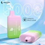 BANG BC5000 パフ 使い捨てベープ