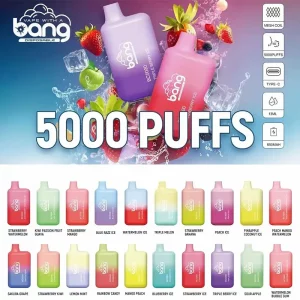 BANG BC5000 パフ 使い捨てベープ
