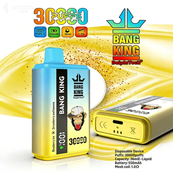 BANG KING 30000パフ blueberry ice.strawberryandbanana