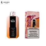 Bang 25000 Puffs Wholesale Mango Peach