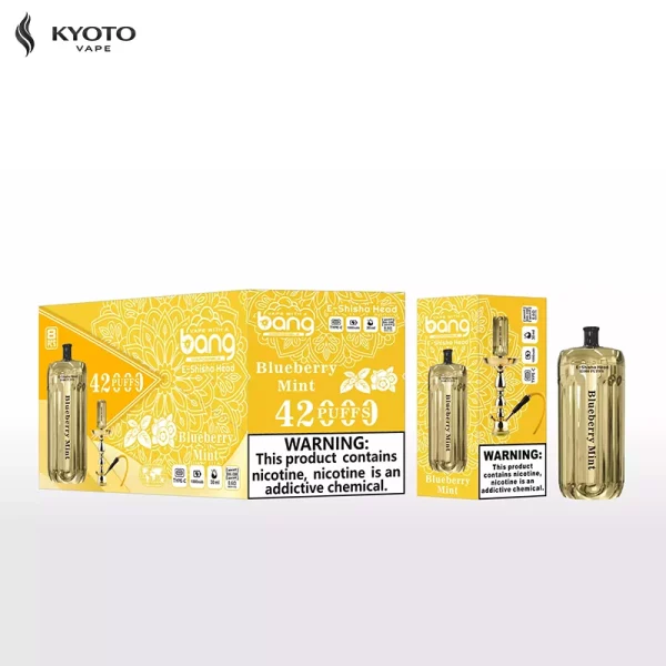 Bang Blaze 42000 Blueberry Mint