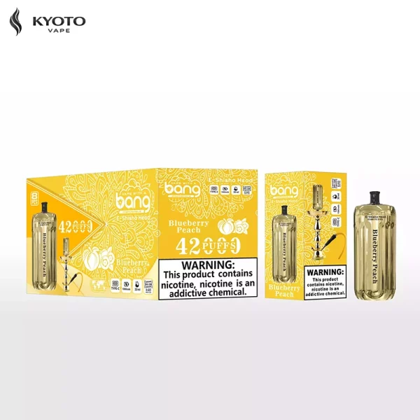 Bang Blaze 42000 Blueberry Peach