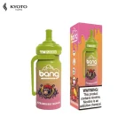 Bang TN12000 Strawberry Mango