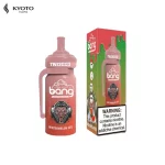 Bang TN12000 Watermelon Ice