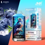 JNR Falcon X 18000 Puffs blue razz ice
