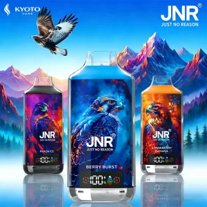JNR Falcon X 18000 Puffs 使い捨てVAPE