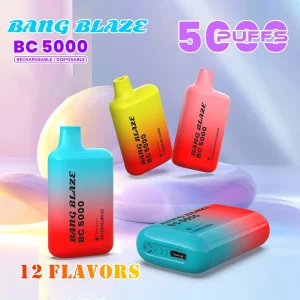 【10本入】Bang Blaze BC5000 パフ 使い捨て電子タバコ