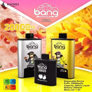 Bang 20000フレカートリッジ交換式 使い捨てVAPE
