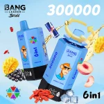 Bang Leader Stoll 300K EnergyDrink PeachIce MangoIce GojiBerry Blackcurrant Mamba