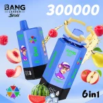 Bang Leader Stoll 300K WatermelonIce MixedBerries ApplePear BlueberryMint SummerTime Peach