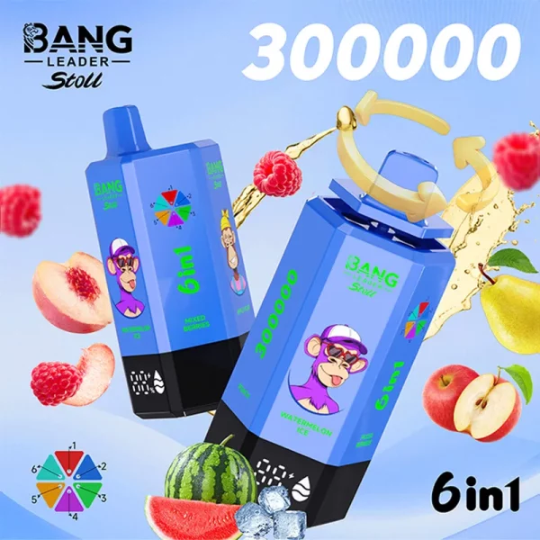 Bang Leader Stoll 300K WatermelonIce MixedBerries ApplePear BlueberryMint SummerTime Peach