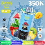Bang Leader Stoll 350K 8in1 Strawberry Kiwi & Blueberry Mint & Sour Mango Pineapple & Strawberry Watermelon Ice